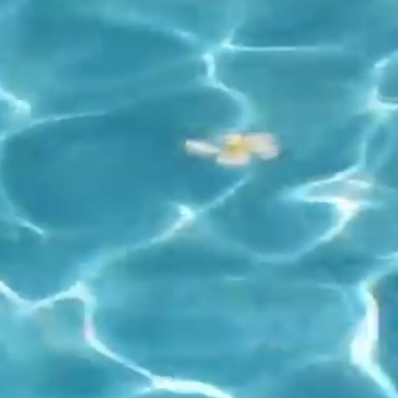 Meet your Posher, Maddie - Picture 1 of 1